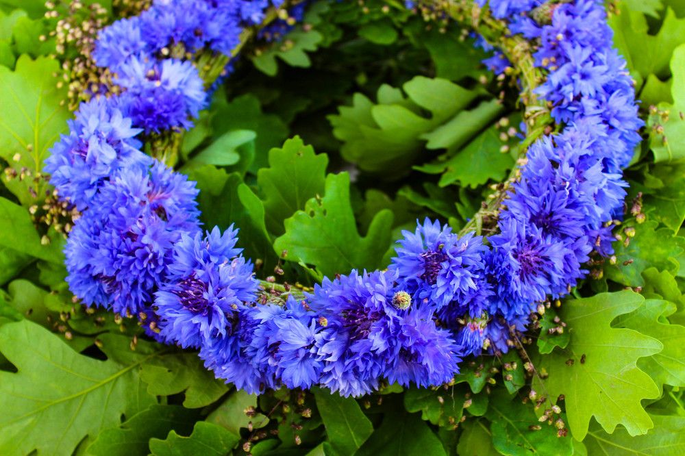 Photograph by Ineta Osipoviča