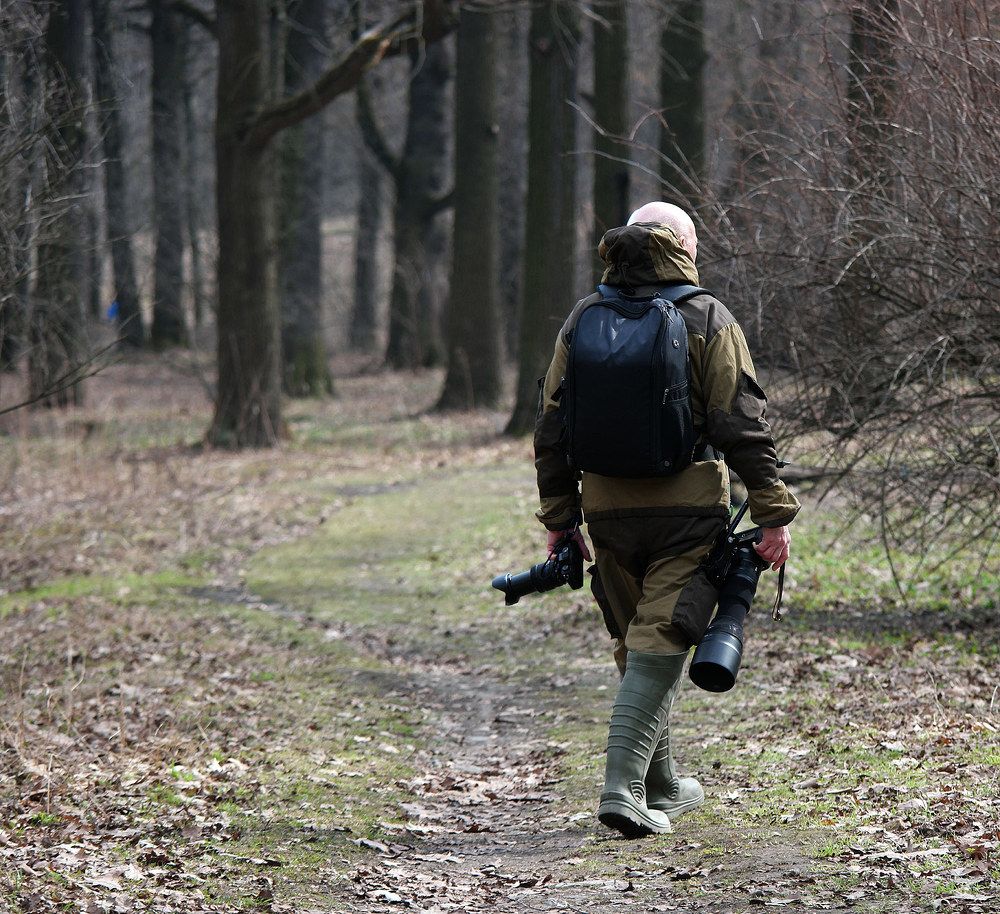 Photograph by Дмитрий Ткаченко