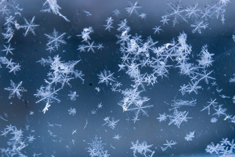 Photograph by Ineta Osipoviča