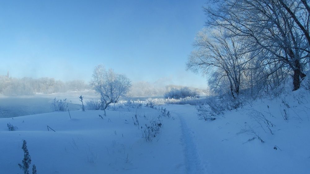 Фотография автора Михаил Назаров