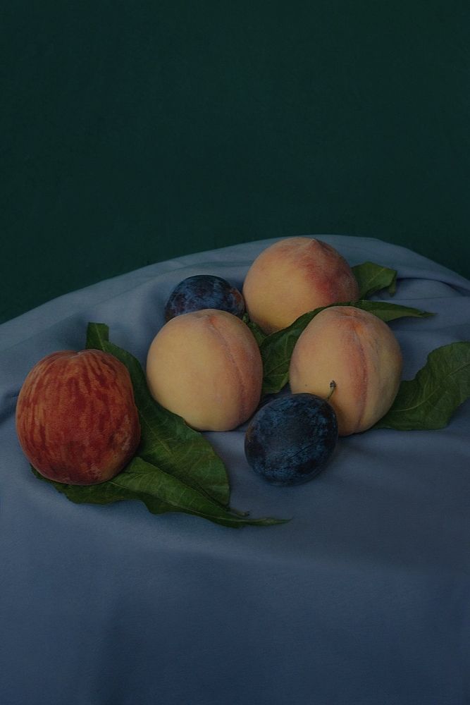 Photograph by Наталия Шляпина