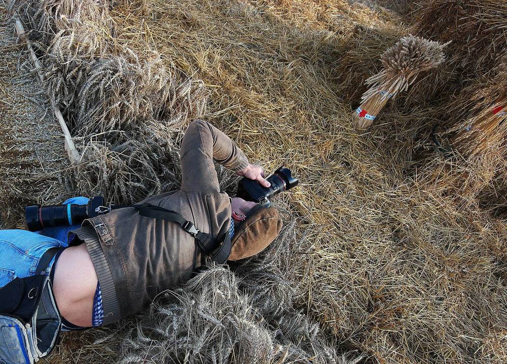 Photograph by Дмитрий Ткаченко