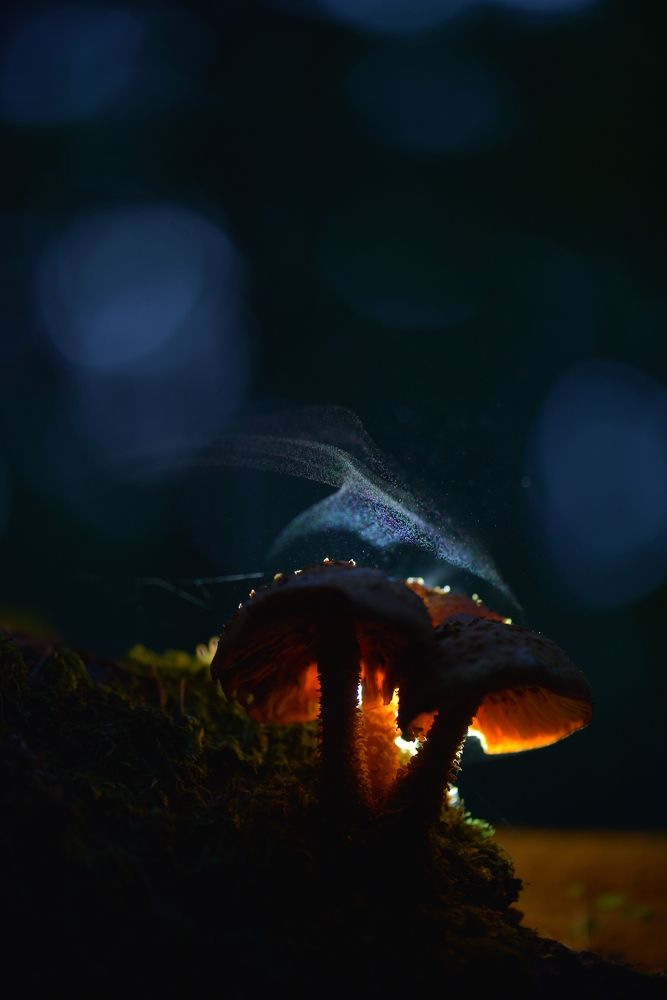 Photograph by Соварцева Ксения