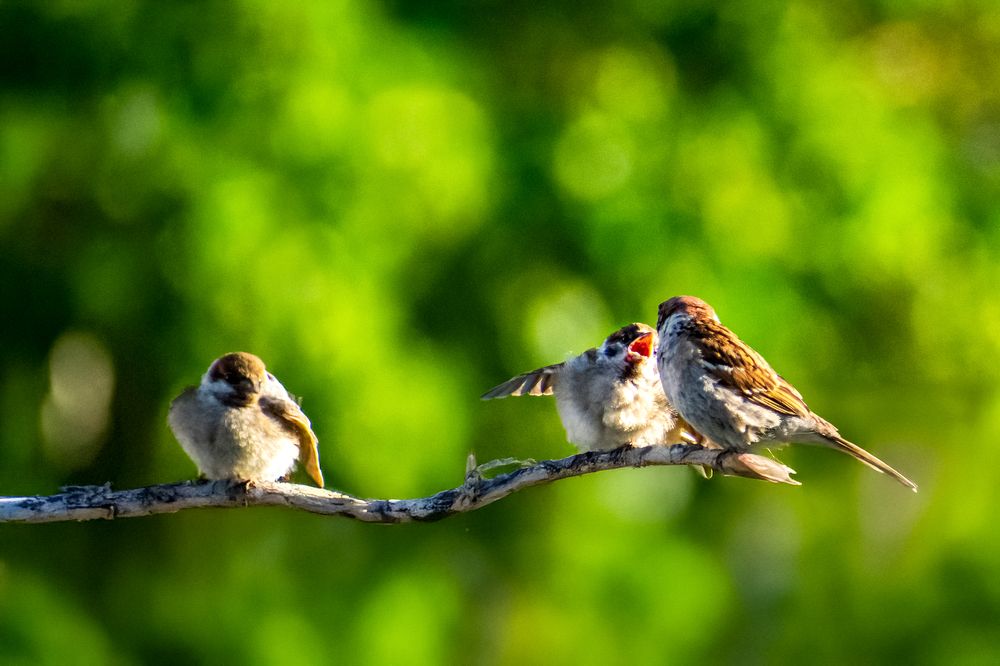 Photograph by Margarita