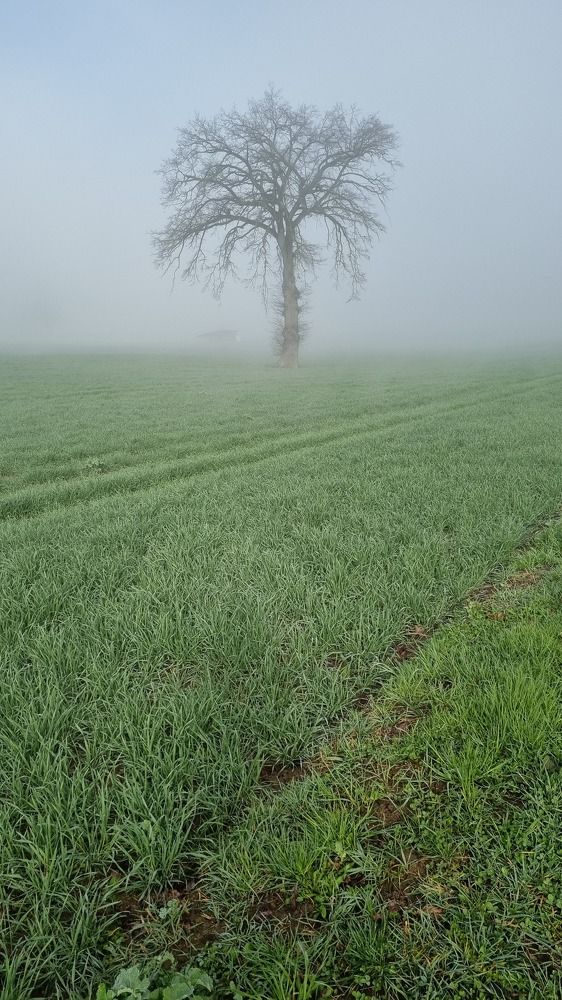 Photograph by Марина Райх