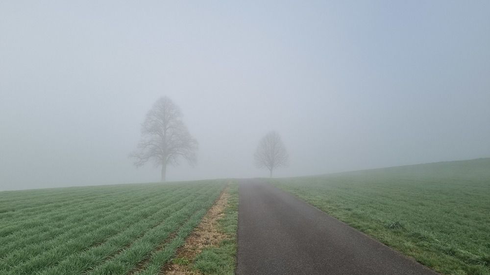 Photograph by Марина Райх