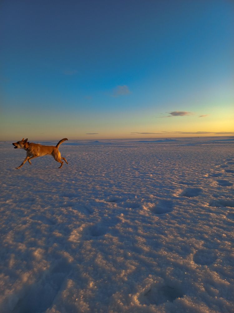 Photograph by Мария Бурик