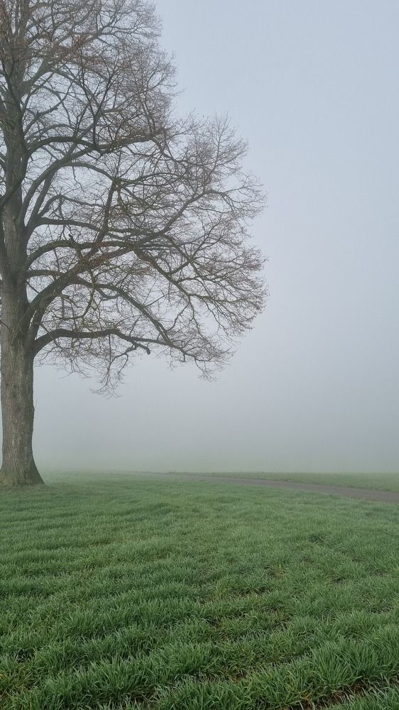 Photograph by Марина Райх