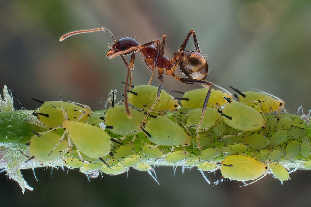 Photograph by Li Chen-You