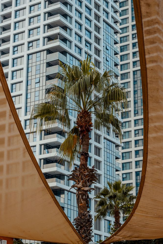 Photograph by Ekaterina Lougovaya