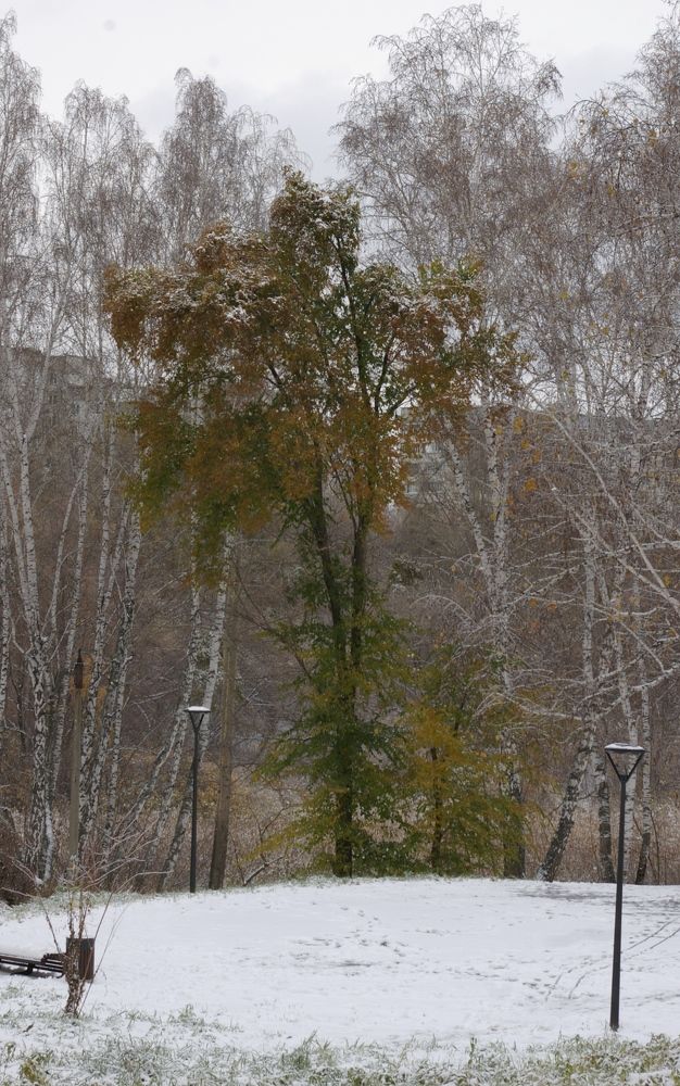 Photograph by Елена Алешкевич