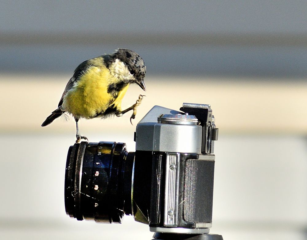 Photograph by Margarita