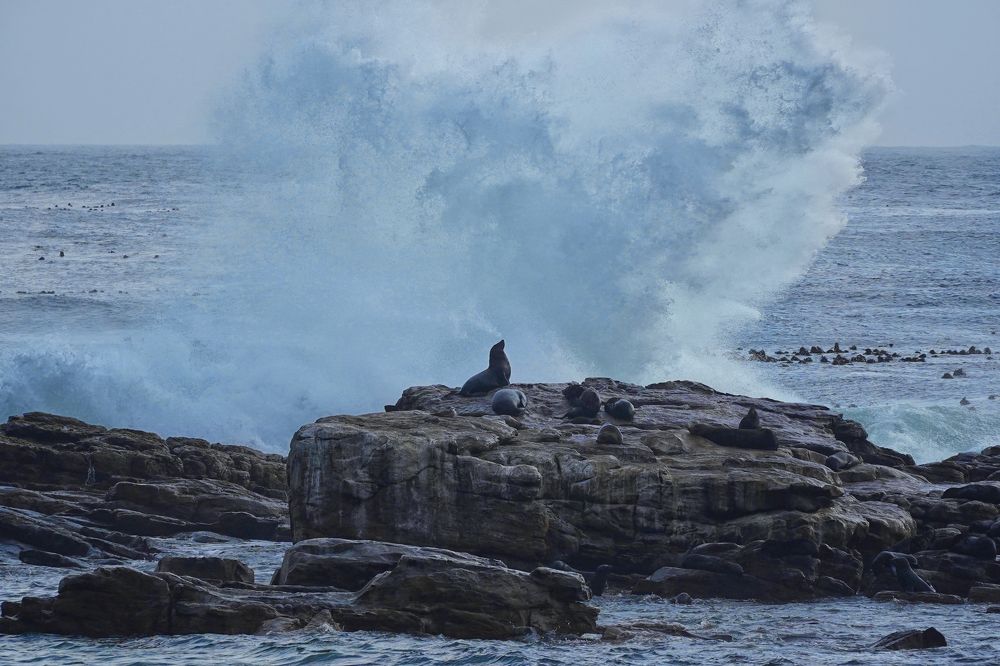 Мыс Доброй Надежды