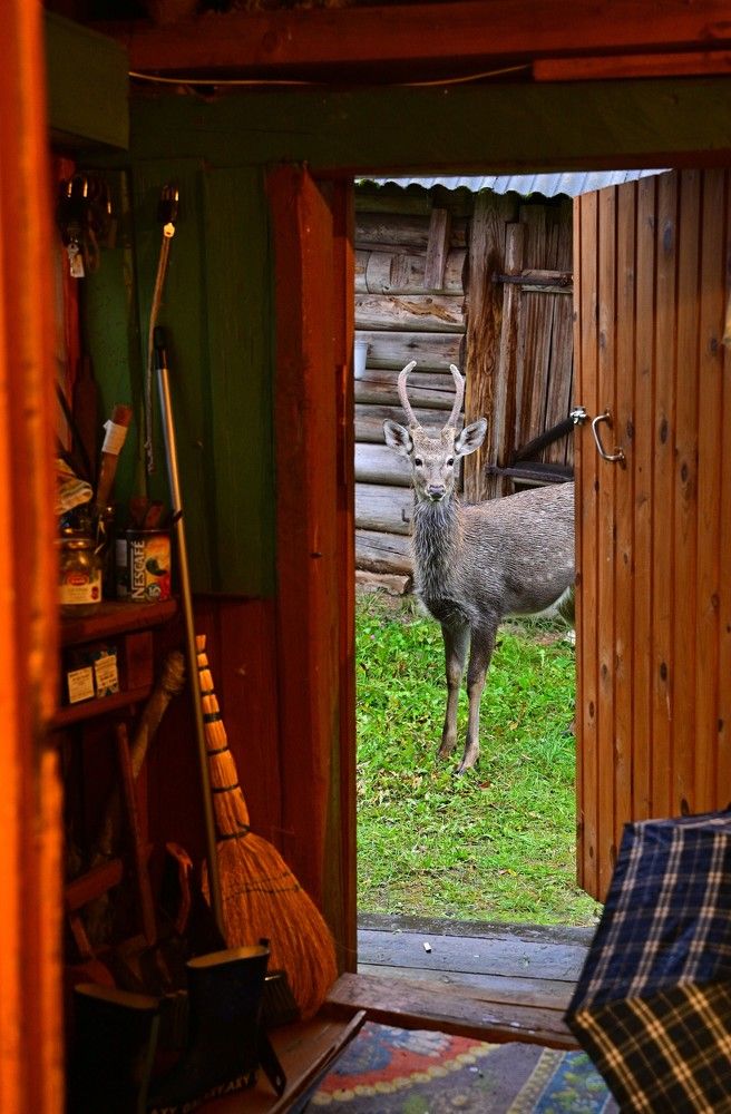 Photograph by Наталья Сергеева