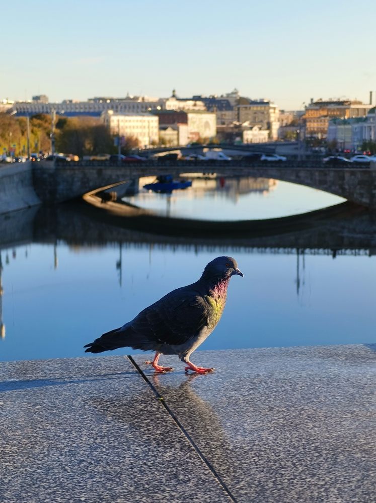 Photograph by Наталья Яковлева