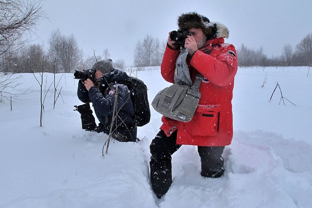 Январским днем