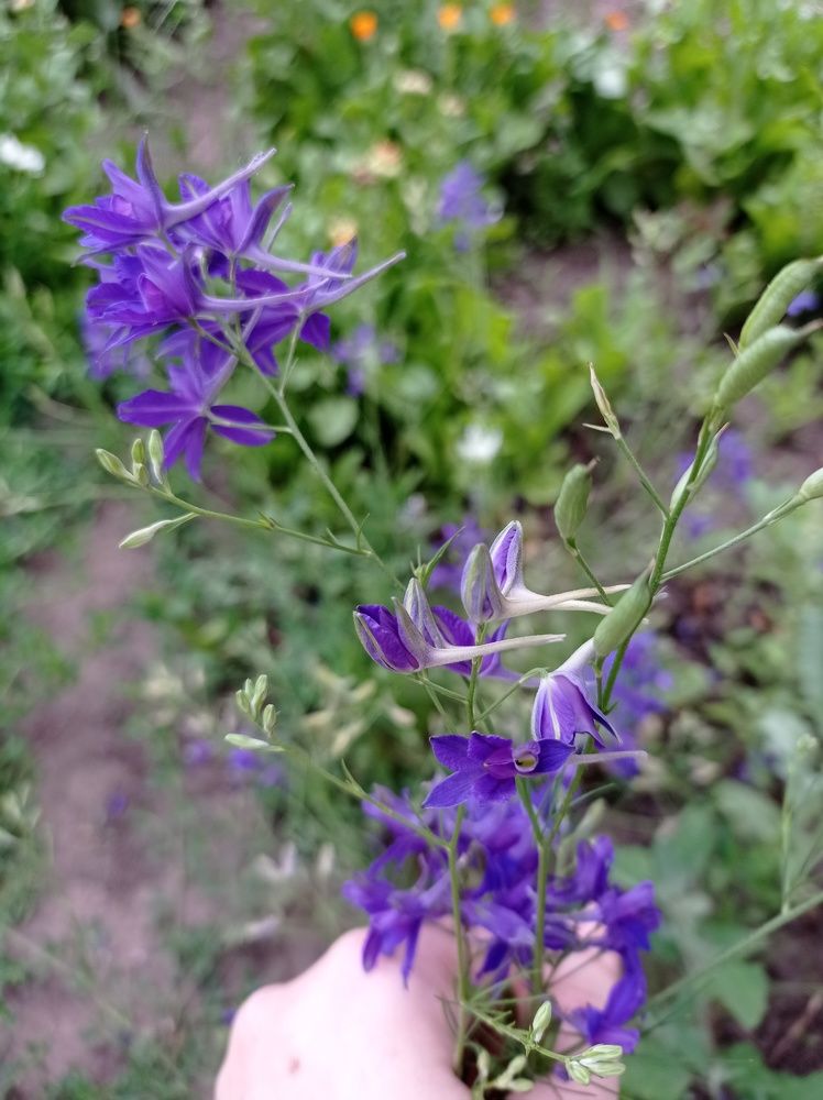 Photograph by Ирина Марченко