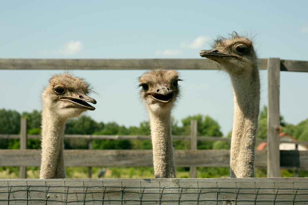 Photograph by Галина Еленина