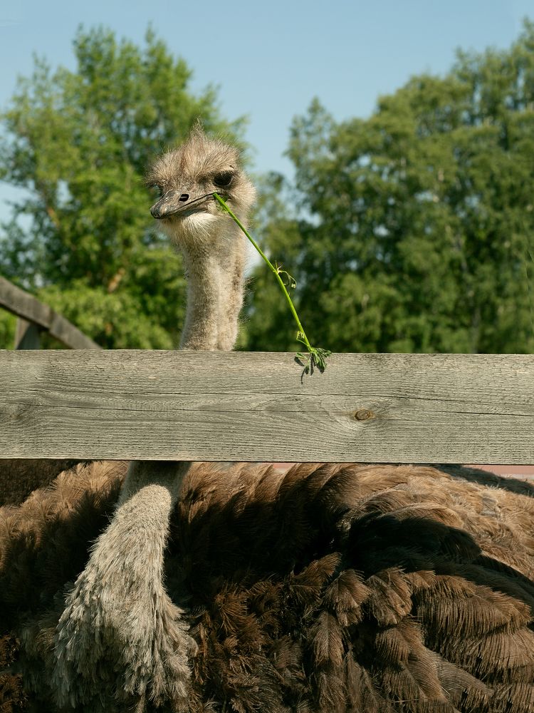 Photograph by Галина Еленина