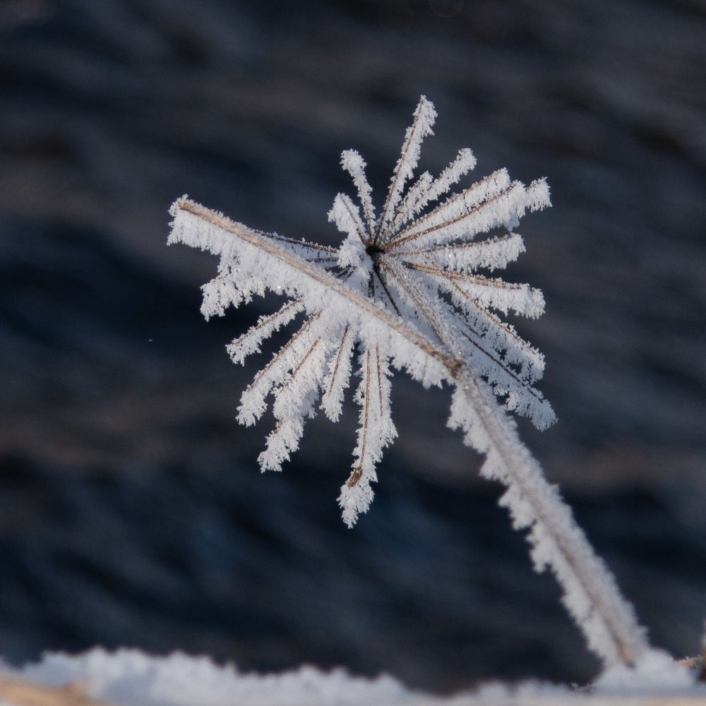 Photograph by Ирина Яук