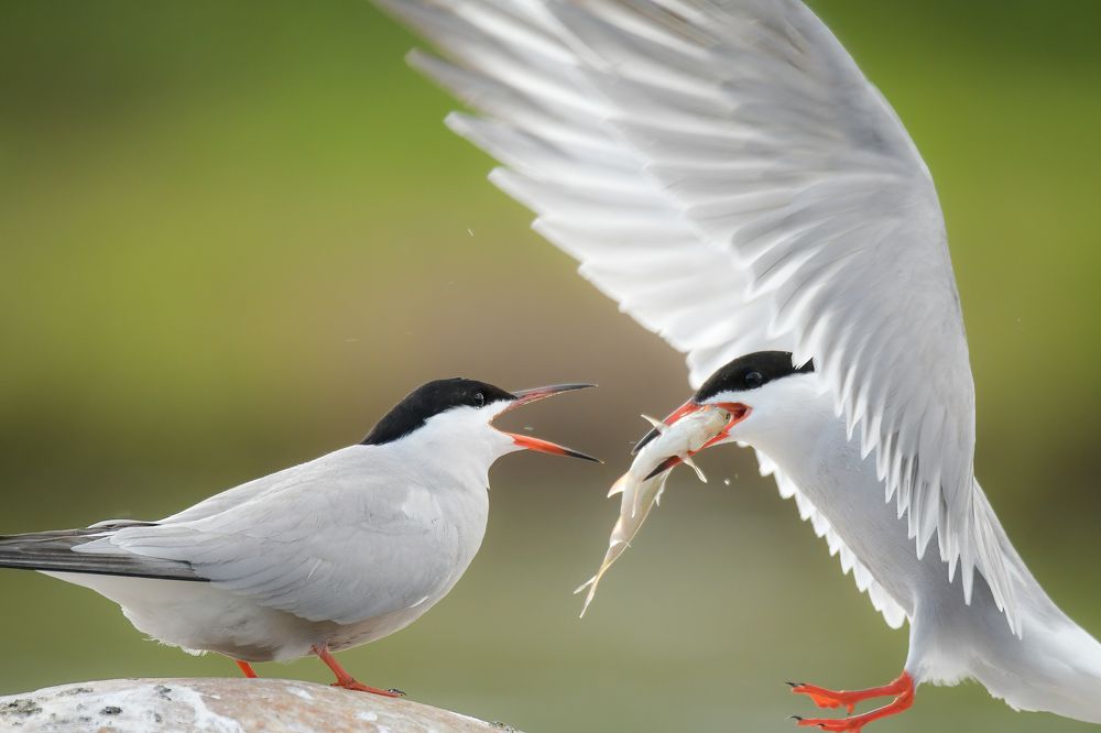 Photograph by Соварцева Ксения