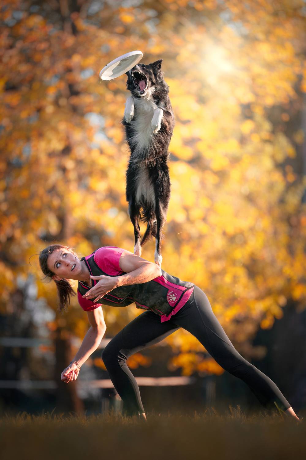 Фотография #11351148