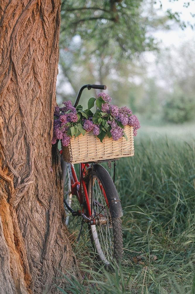 Photograph by Елена Власова