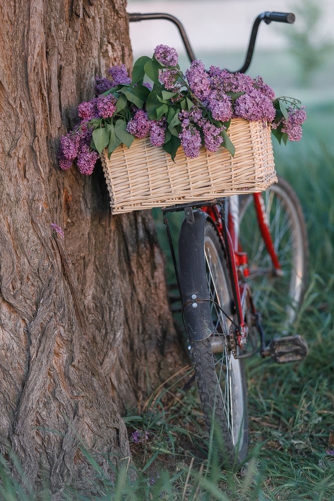 Photograph by Елена Власова