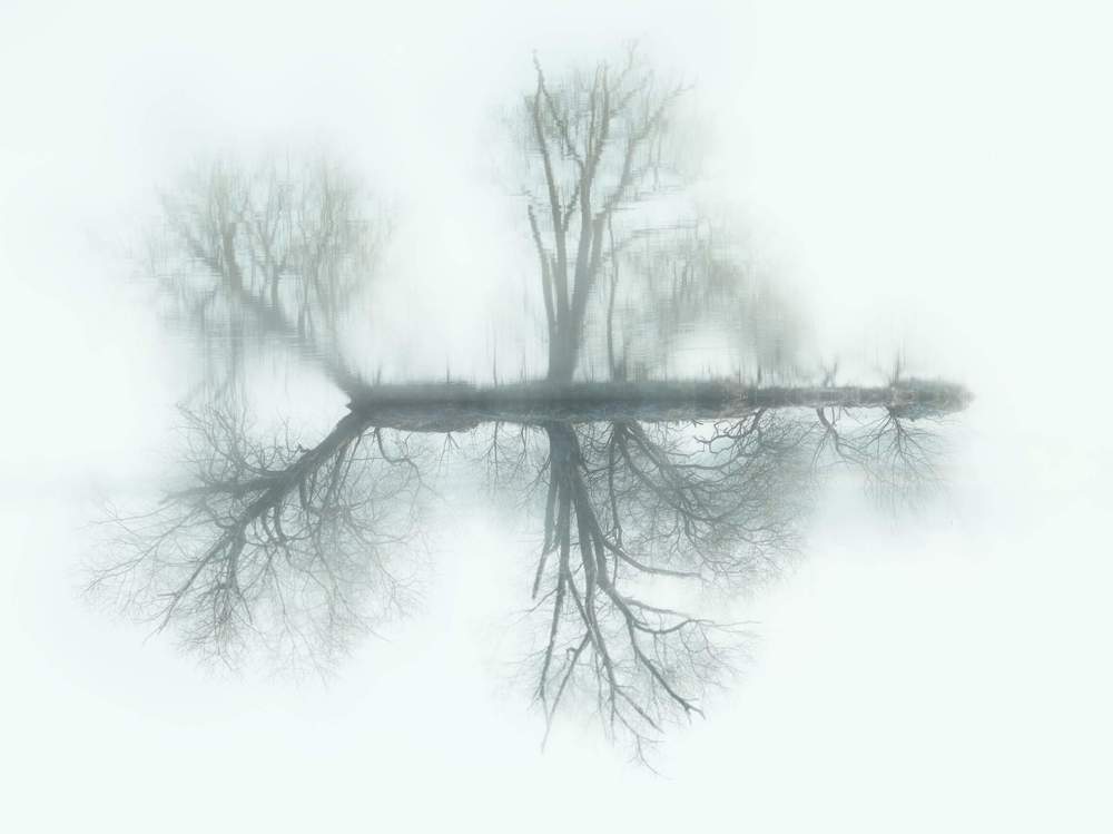 Одиночное плавание, в тумане.