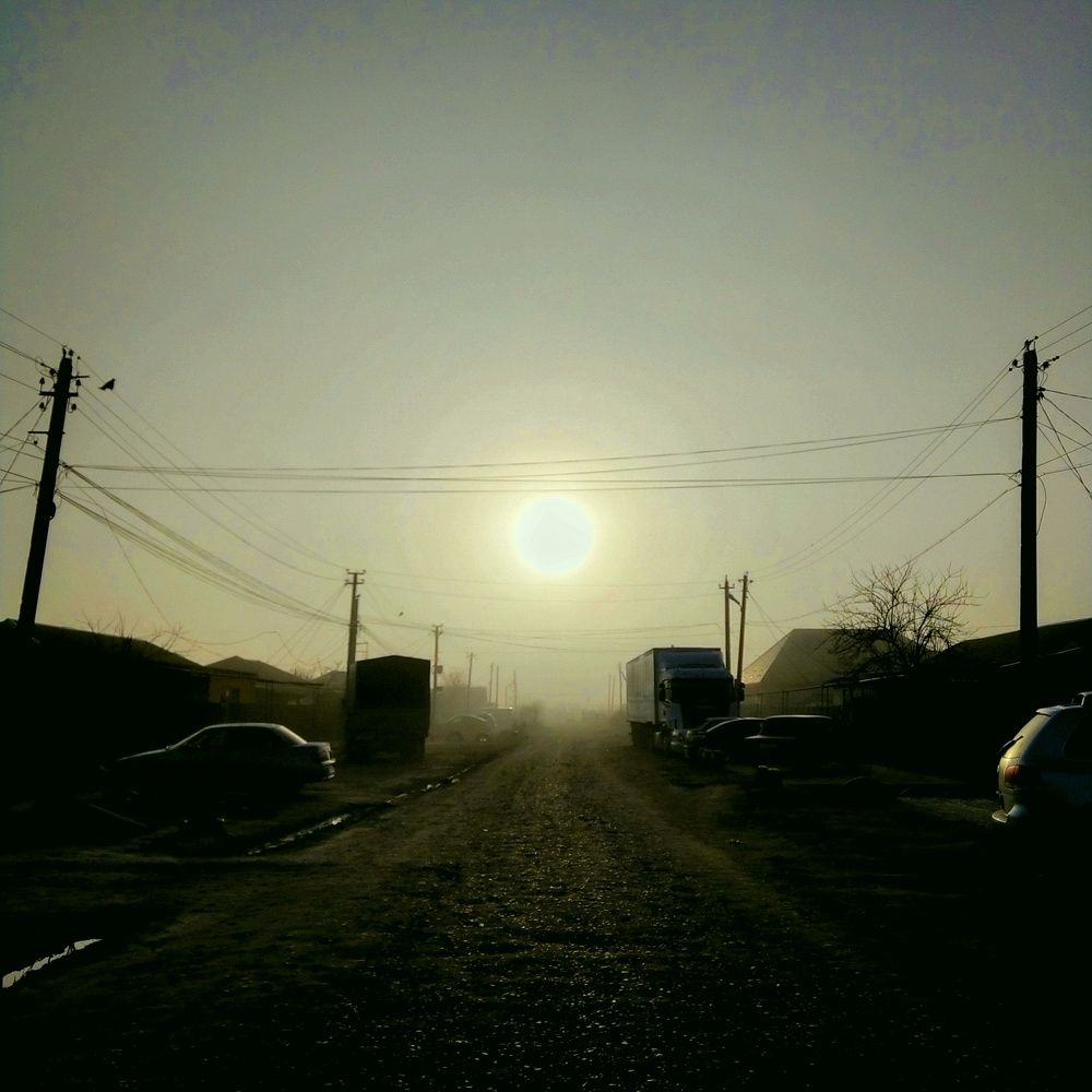 Photo #11351196