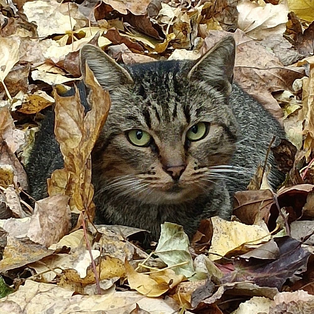 Photograph by Ирина Шведчикова