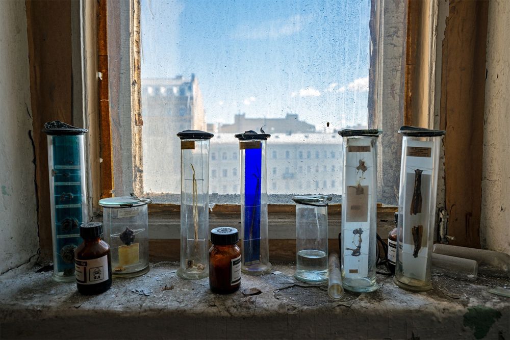 Фотография автора Макшанов Михаил