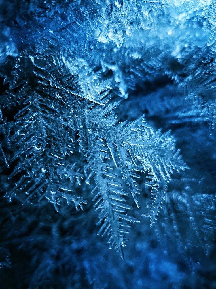 Photograph by Елена Артёменко