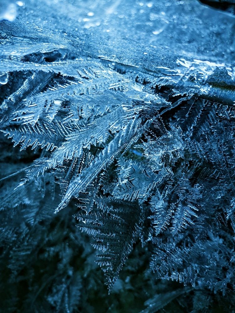 Photograph by Елена Артёменко