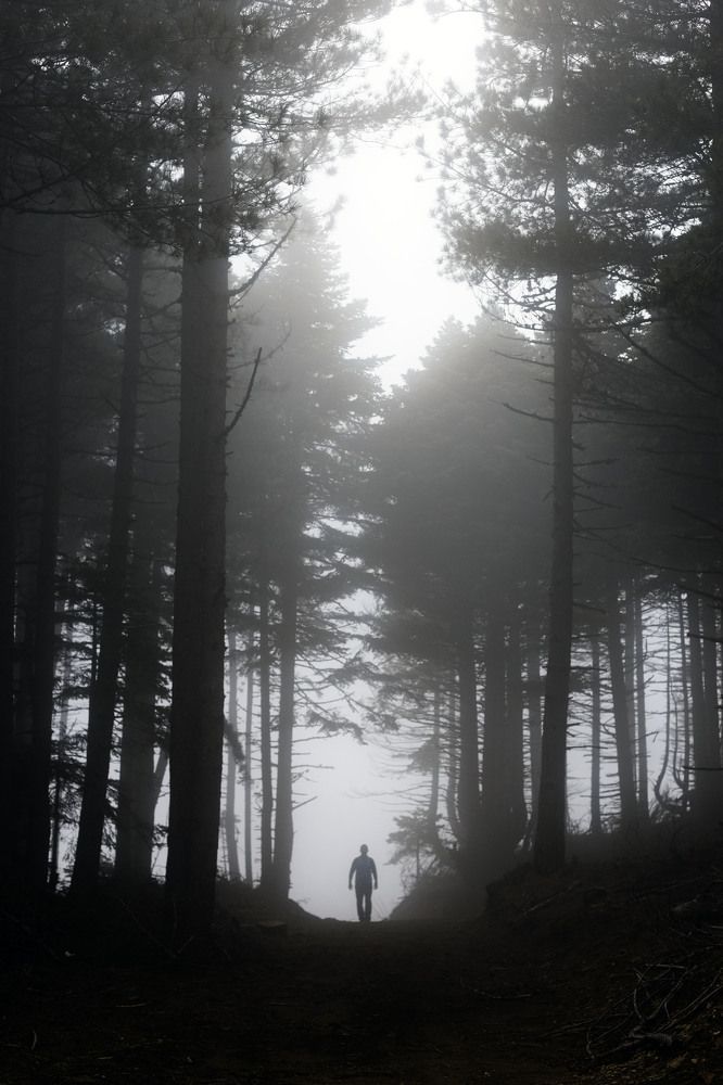 Photograph by Yilmaz Keles