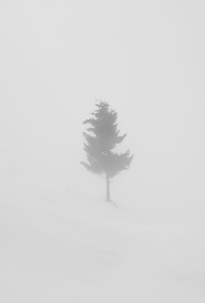 Photograph by Yilmaz Keles