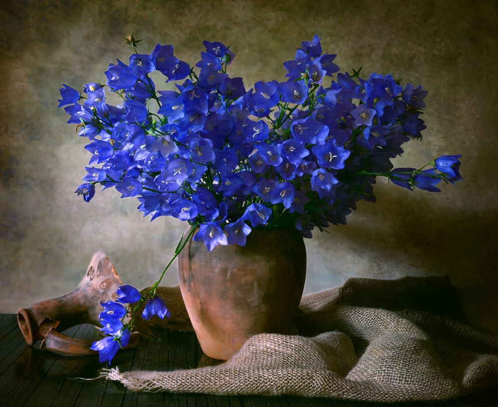 Photograph by Елена Брежицкая