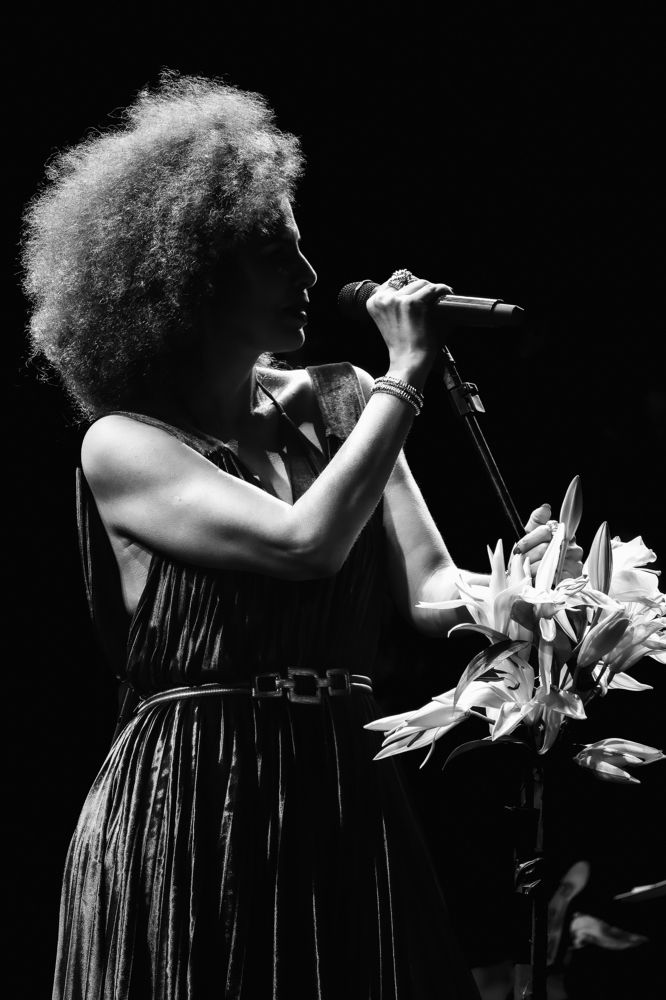 Lights and shadows of a singer