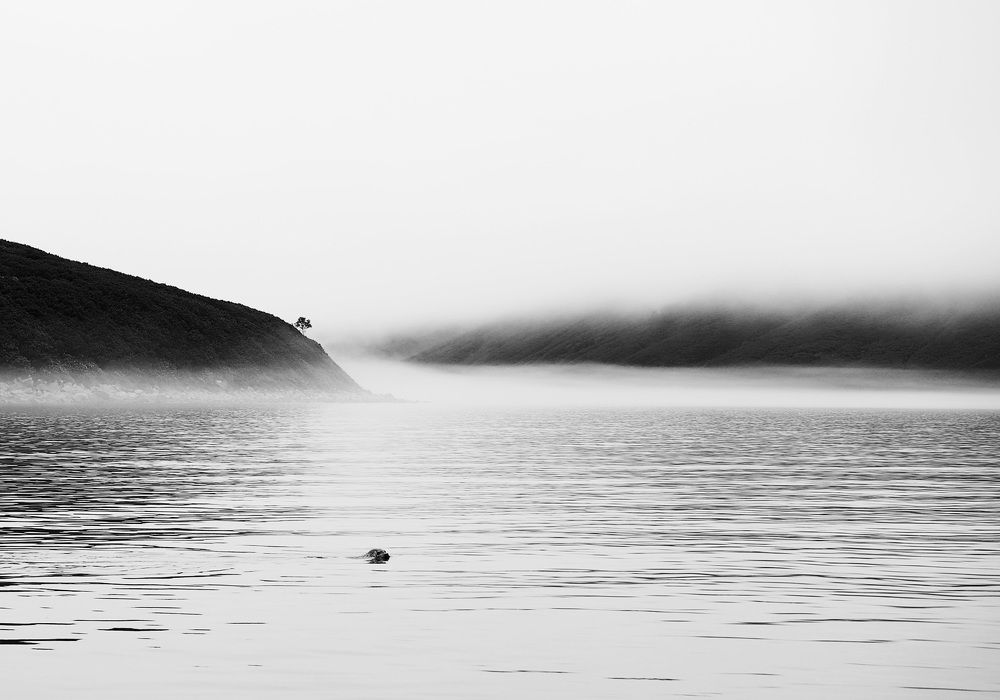 Фотография автора Андрей Нарчук