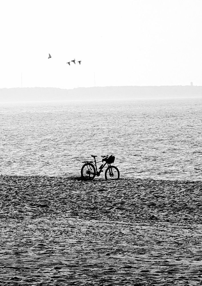 Фотография автора Ксения Шляйхер