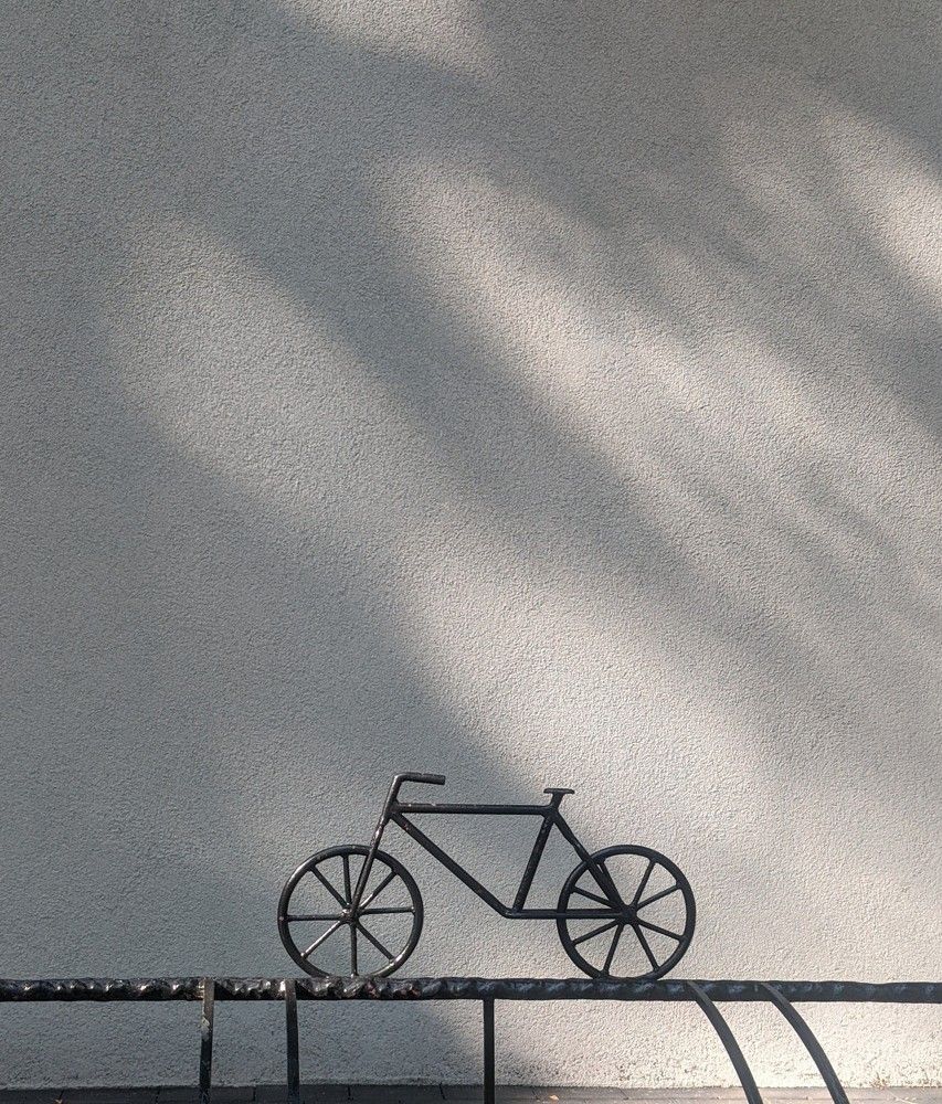 Фотография автора Ксения Шляйхер