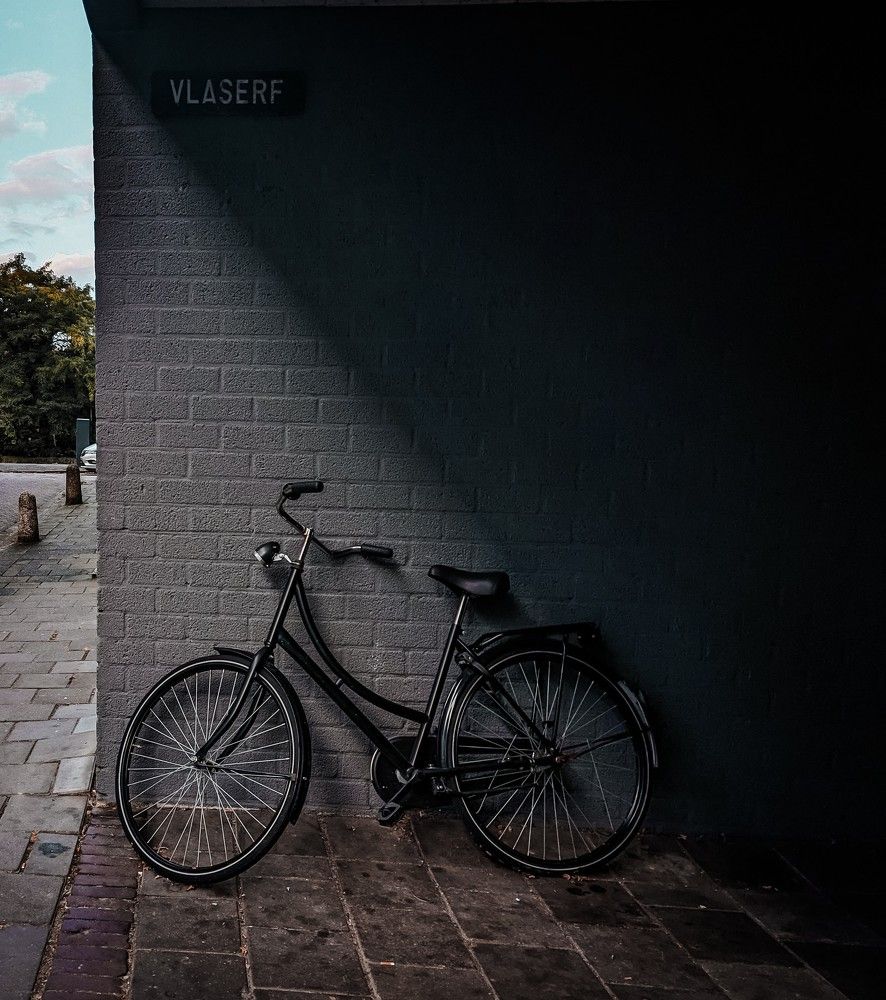 Фотография автора Ксения Шляйхер