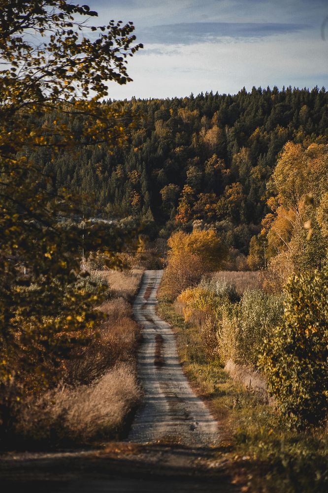Photograph by Татьяна Алкарева Горшкова