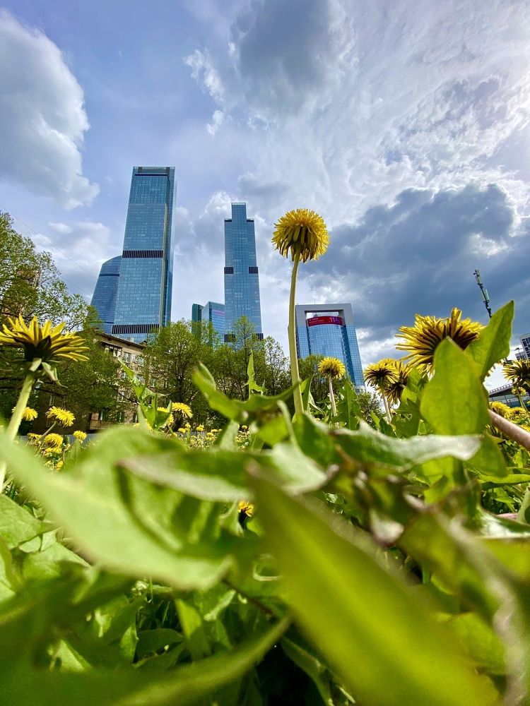 Photograph by Кудрявцев Александр