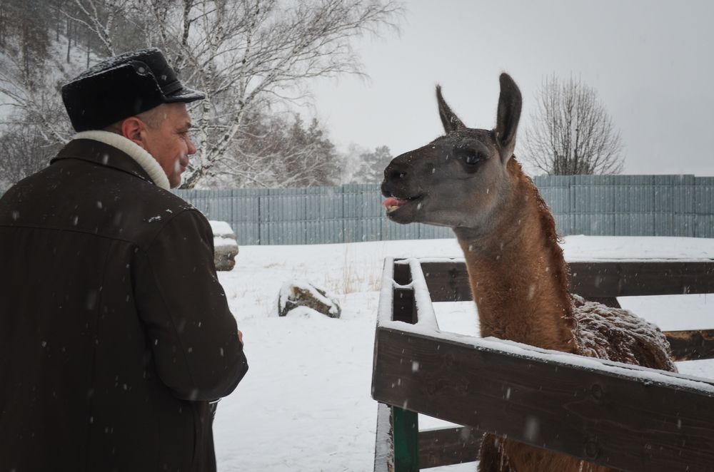 Photograph by Татьяна Герасимцева