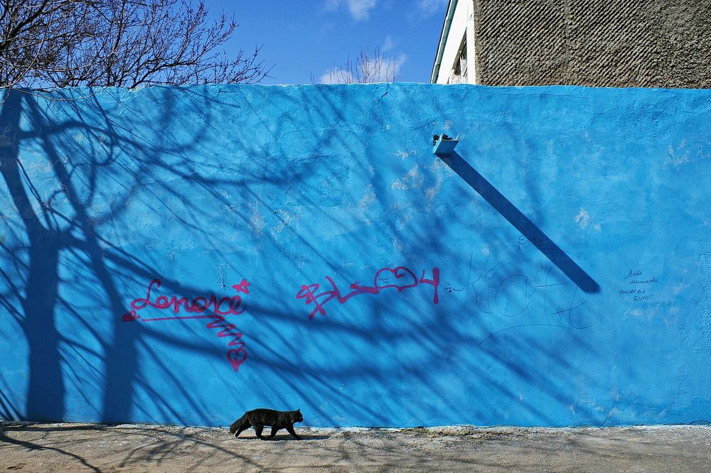 Фотография автора Александр Челмодеев