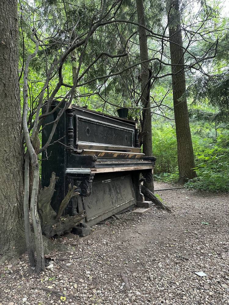 Photograph by Кудрявцев Александр