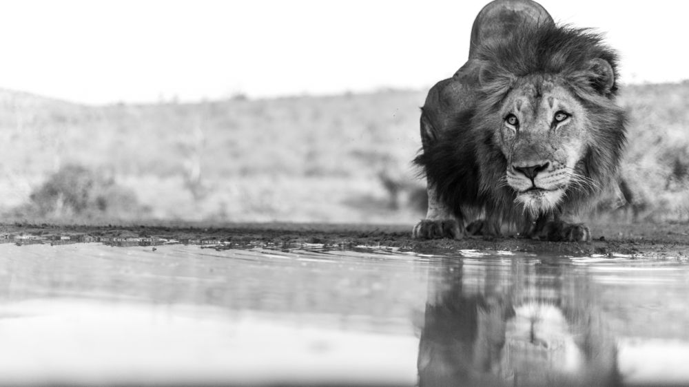 Photograph by Silvia Ribeiro