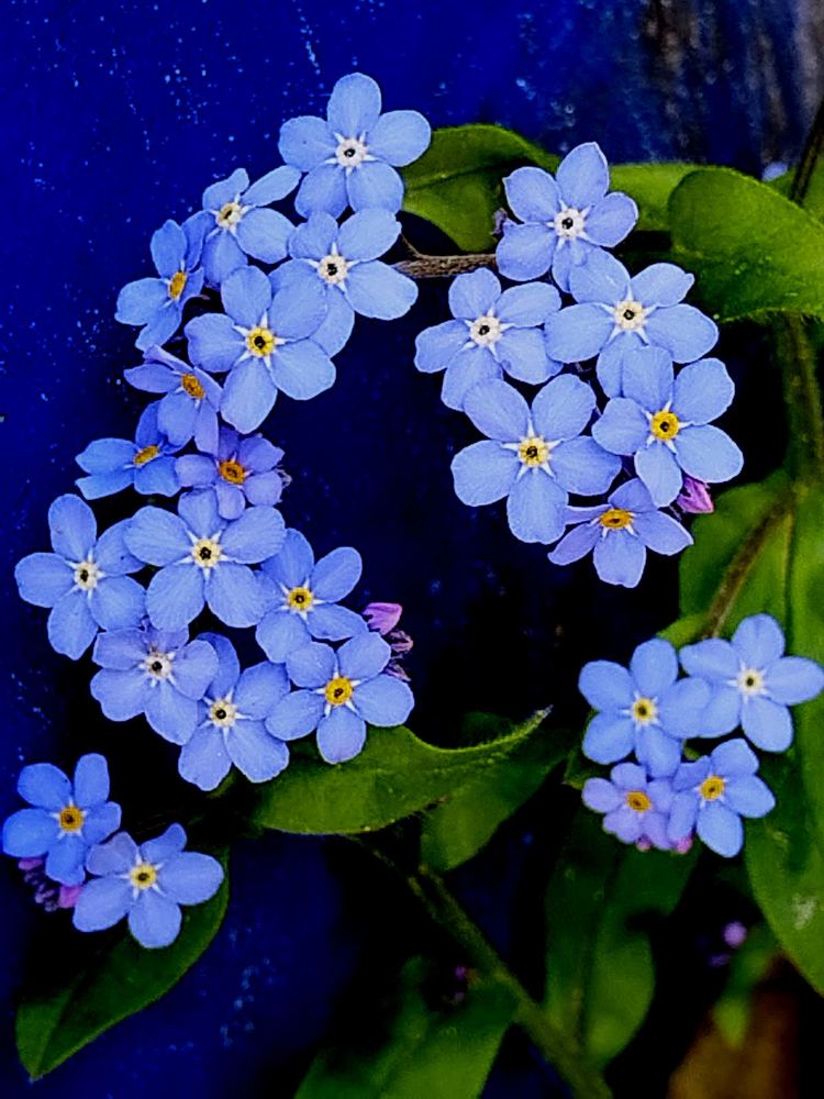 Photograph by Татьяна Солтан