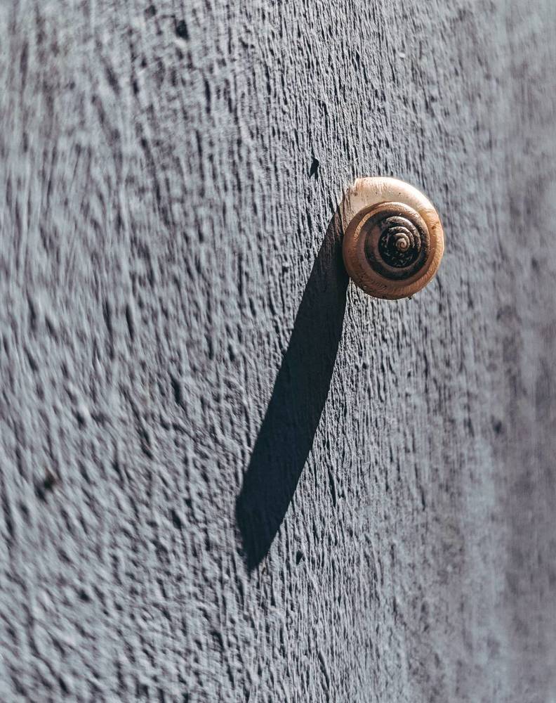 Фотография автора Ксения Шляйхер